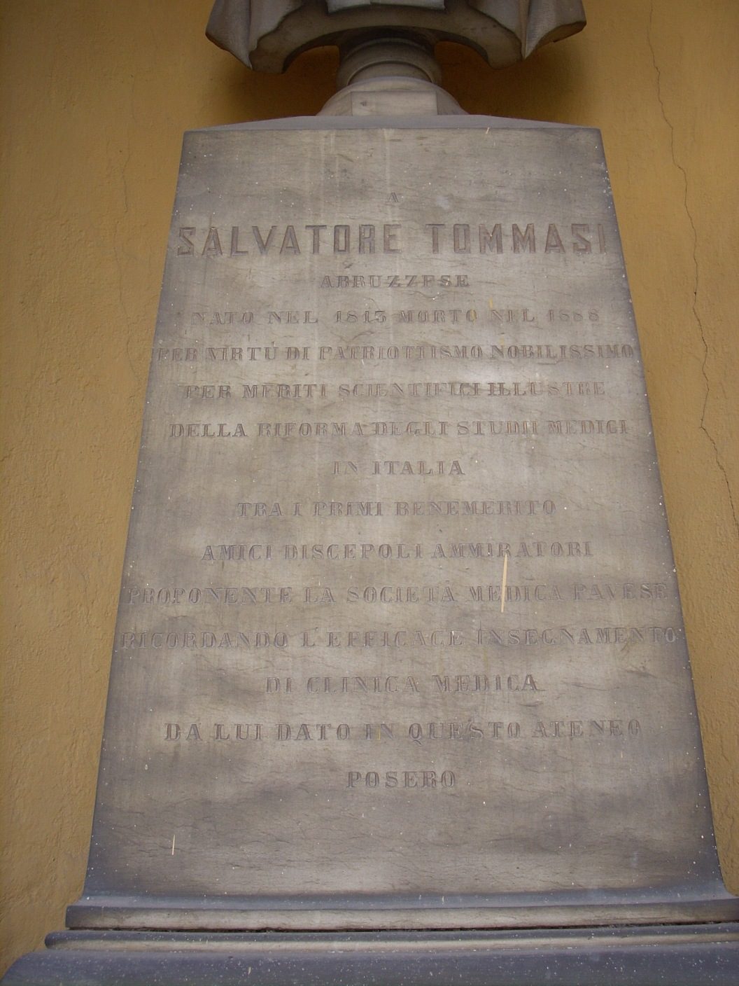 Salvatore Tommasi monument, University, Pavia - 3.jpg